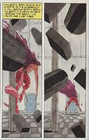 Malleus 07