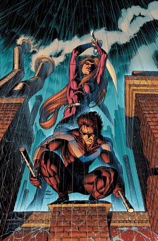 File:Nightwing 0076.jpg