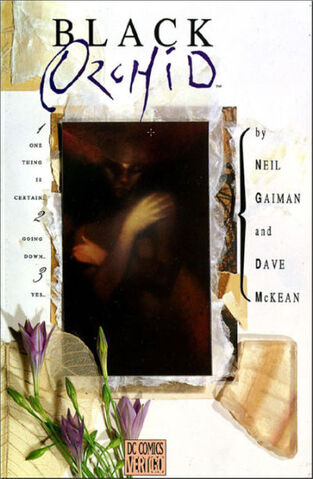 File:Black Orchid TPB.jpg