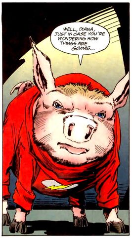 File:Flash Pig 001.jpg