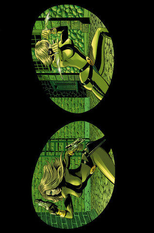 File:Catwoman Vol 3 35 Textless.jpg