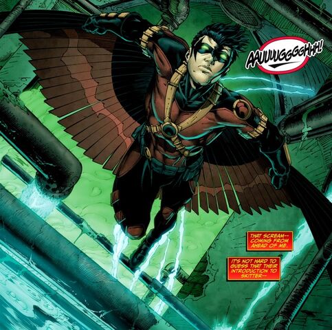 File:Red Robin 0034.jpg