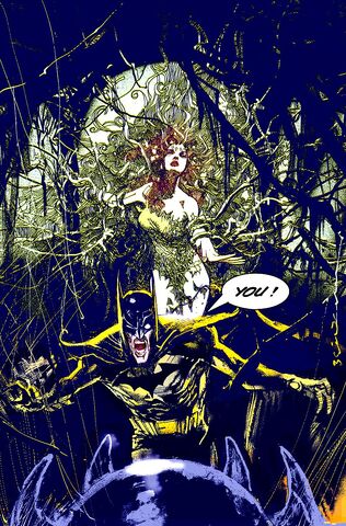 File:Batman 0479.jpg