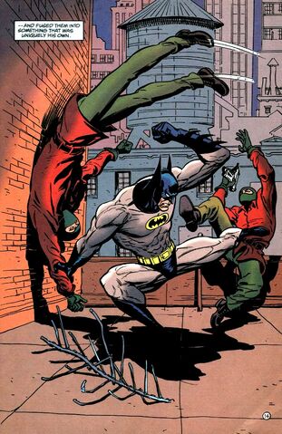 File:Batman 0222.jpg