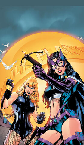 File:Birds of Prey 0012.jpg