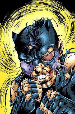 File:Wildcat 0003.jpg