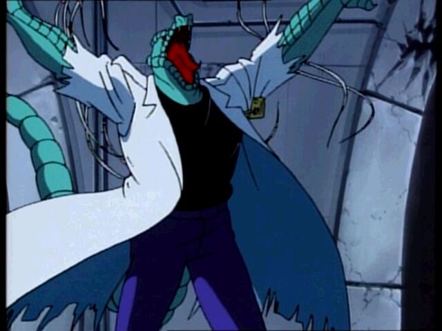 File:Lizard TAS 6.jpg