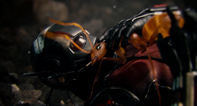 File:Ant-Man and Crazy Ant.png