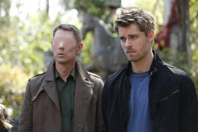 File:Scars 8.jpg