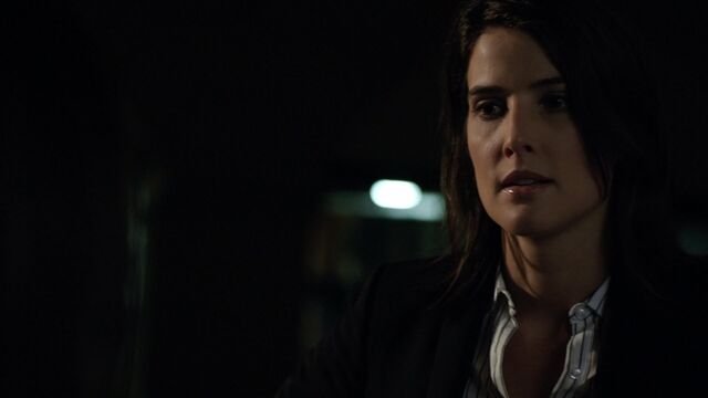 File:Maria-Hill-speaks-to-Melinda-May-NothingPersonal.jpg