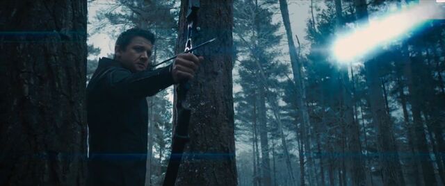 File:Hawkeyebehindatree1.jpg