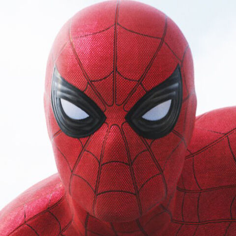 File:Spidermanicon.jpg