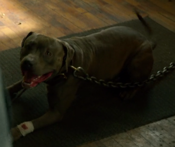 File:Max.png