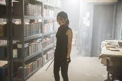 Elektra Attacks
