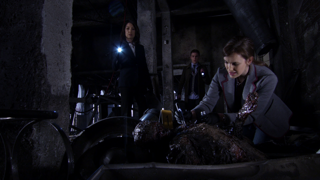 File:S.H.I.E.L.D. trio.png