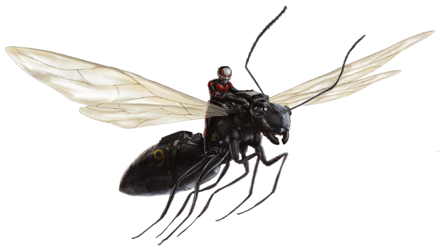 File:Flying Carpenter Ant FH.png