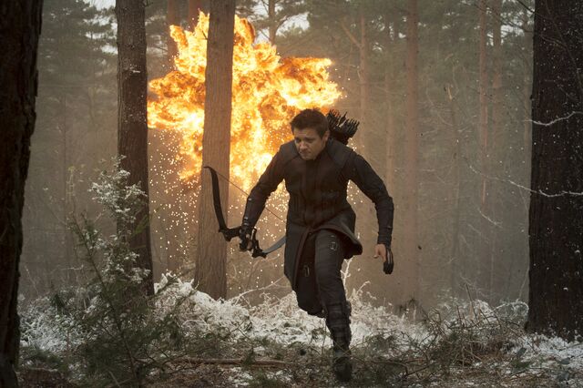 File:Hawkeye AOU textless.jpg