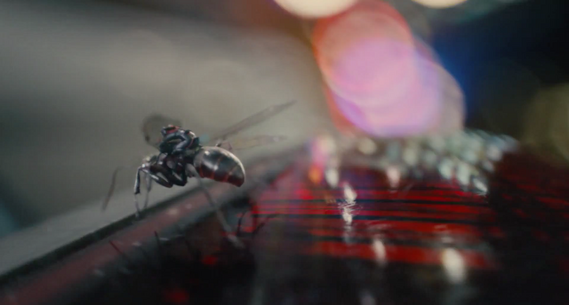 File:Ant flight.png