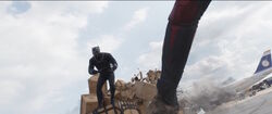 BlackPanther-GiantManFight-CACW