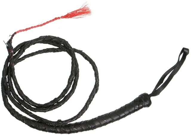 File:Whiplash-Test-Whip.jpg