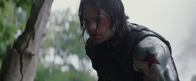 File:Winter-Soldier-saves-Cap.jpg