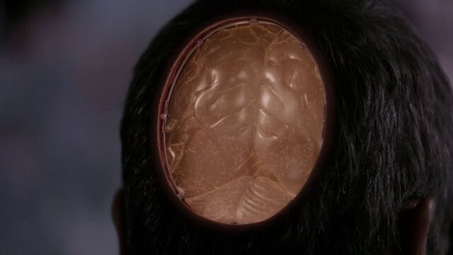 File:HPS Quantum Brain.jpg