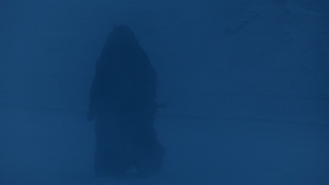File:Jemma sees It.png