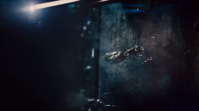 File:Ant-Man (film) 46.jpg