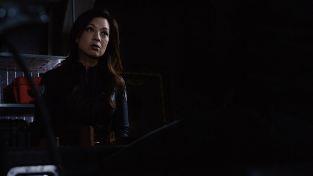 File:May Speaks To Coulson-4x01.jpeg