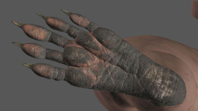 File:Rockets Feet.jpg
