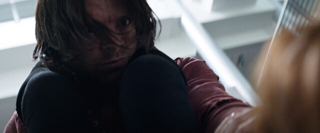File:WinterSoldier-ChockingWidow-CACW.jpg