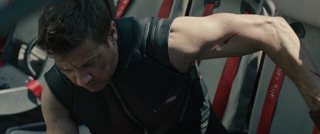 File:Hawkeye-ItsBeenALongDay.jpg