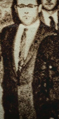File:Normal catws 03721.jpg