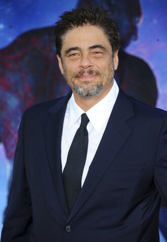 File:Benicio del Toro.jpg