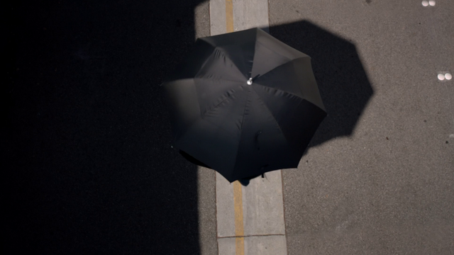 File:Cloaking Umbrella1.png
