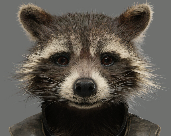 File:Rocket1-GotGBR.png