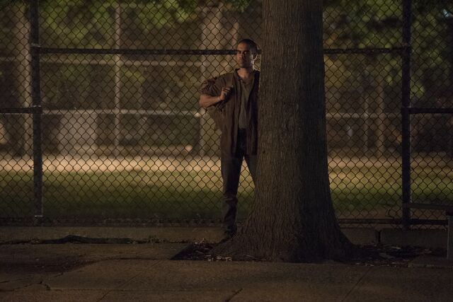 File:SneakyDavos-TreeHiding.jpeg