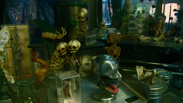 File:Collector 5.png