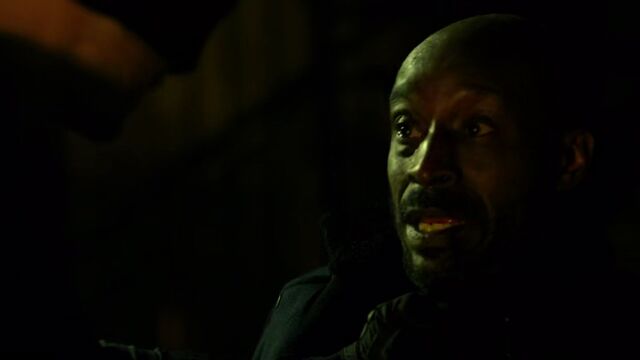 File:Turk-Barrett-threatened.jpg