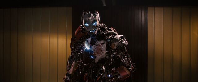 File:Aou 002925.jpg