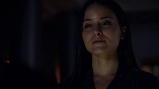 File:Agent-33-HappyToComply.jpg