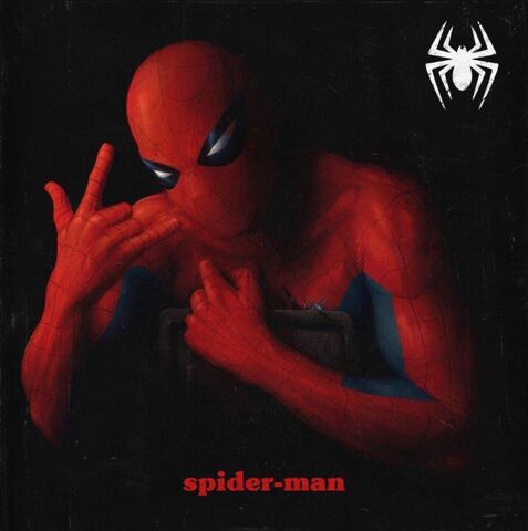 File:Peter Parker The Spectacular Spider-Man Vol 1 1 Hip-Hop Variant Textless.jpg