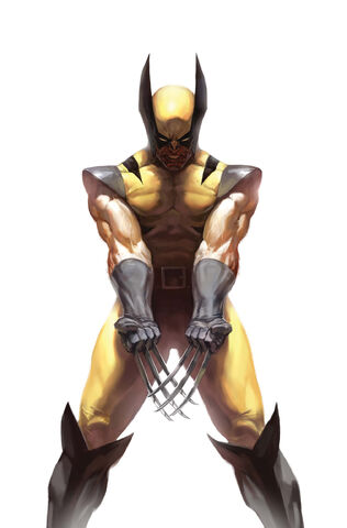 File:Wolverine Vol 3 73 70th Anniversary Variant Textless.jpg