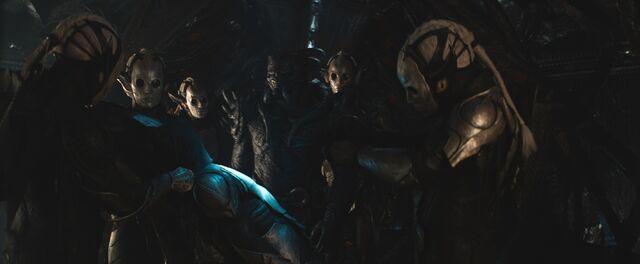 File:Dark Elves DarkW.jpg