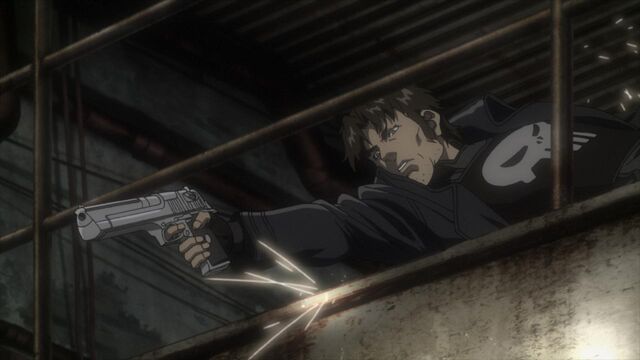 File:IMRotT The Punisher.jpg