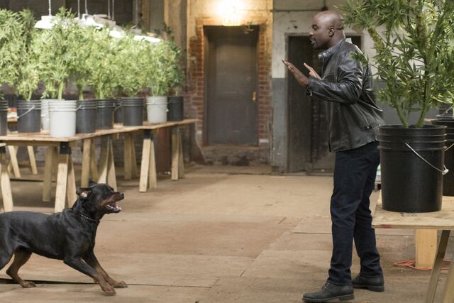 File:Luke Cage-2.jpg