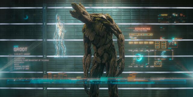 File:Groot subject.jpg