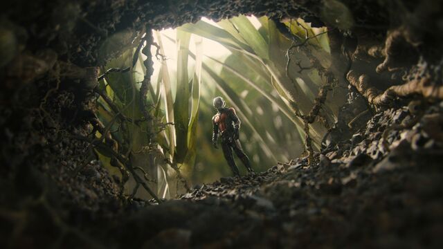 File:Ant-Man 14.jpg