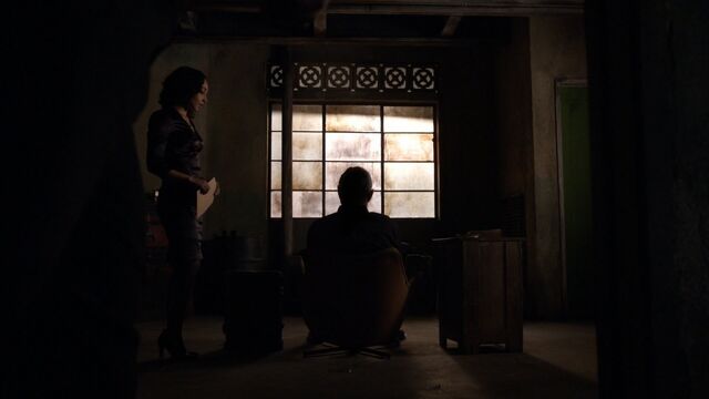 File:Skye's Father Raina Beginning.jpg