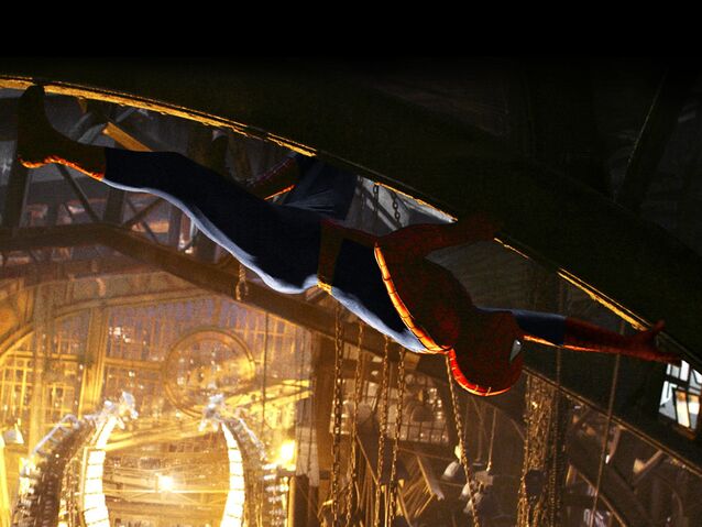 File:Spider-crawling.jpg